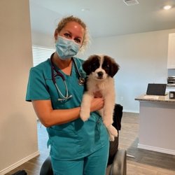The Vets - Mobile Vet Care in Austin - Layla got her first vaccination