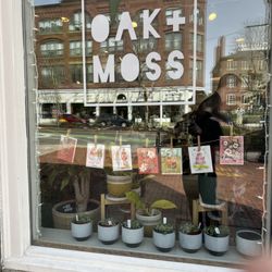 Oak + Moss
