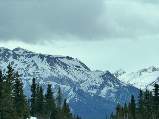 Talkeetna Roadhouse by null