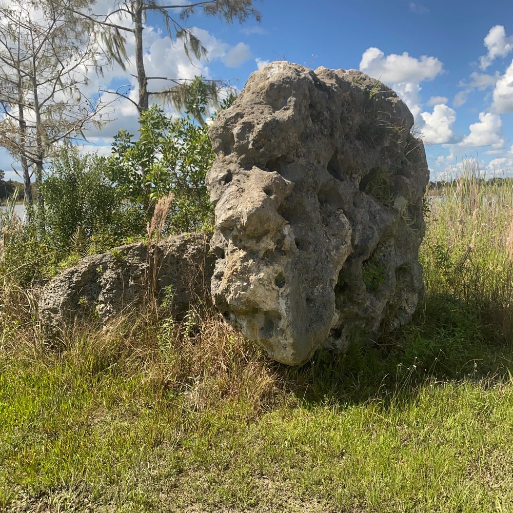 Fakahatchee Strand Preserve State Park - Parks Near Me - Copeland, Florida