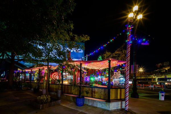 Deck the Halls by null