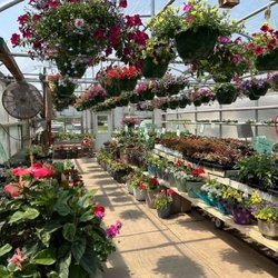 The Flower Shoppe - One of the 5 greenhouses at The Flower Shoppe Greenhouse in Gillett, Wi.