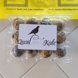 Quail and Kale urban farms - Eggs and about