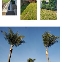 Negrete's Lawn Care & Landscaping
