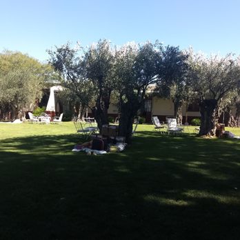 Alta Vista - Beautiful garden area to relax, drink wine and eat a picnic lunch - Wineries Near Me - Luján de Cuyo, M