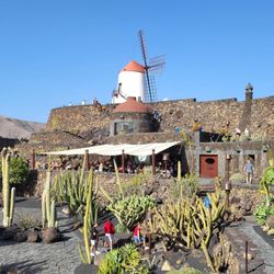 El Jardín de Cactus