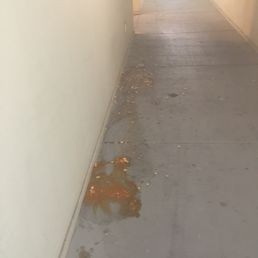 Looks like puke and sat there for three days before maintenance cleaned it up.