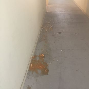Metro 102 - Looks like puke and sat there for three days before maintenance cleaned it up. - Apartments Near Me - Ontario, California