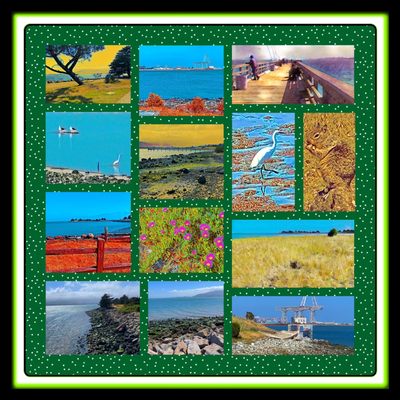 Candlestick Point State Recreation Area by null