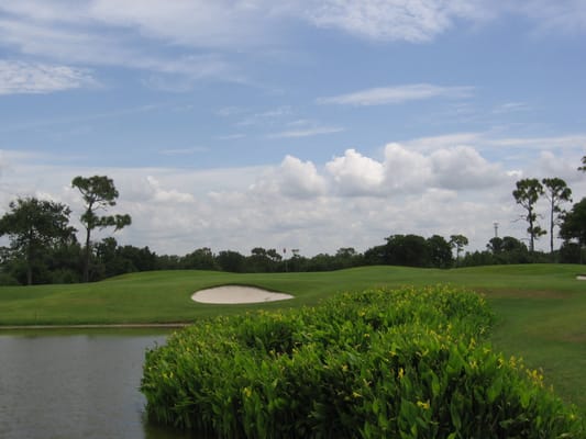Chi Chi Rodriguez Golf Course Clearwater Florida CHI CHI RODRIGUEZ GOLF CLUB - Updated July 2025 - 19 Photos & 31