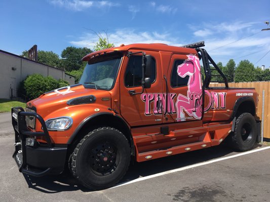 Pink Pony by null