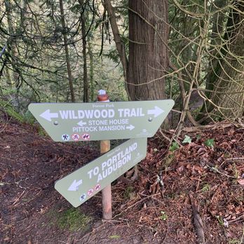 Wildwood Trail - Hiking Near Me - Portland, Oregon Wildwood Trail - Hiking Near Me - Portland, Oregon