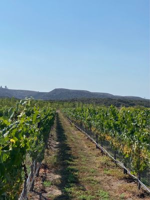 Valley to the Sea Winery by null