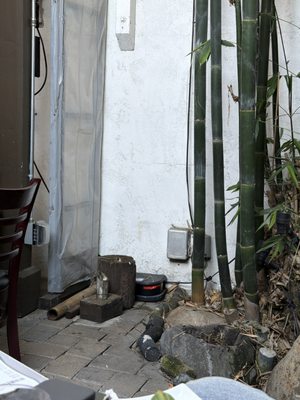 Iroha Sushi of Tokyo by null