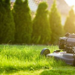 3D Lawn Care