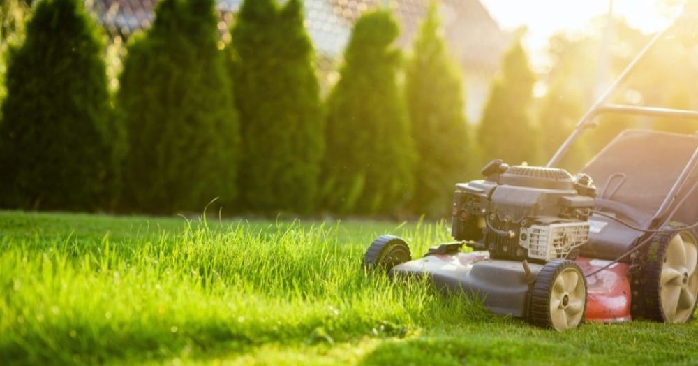 3D Lawn Care - tree service in Spokane, WA