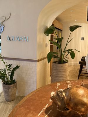 Aguasal - by José Andrés Group by null