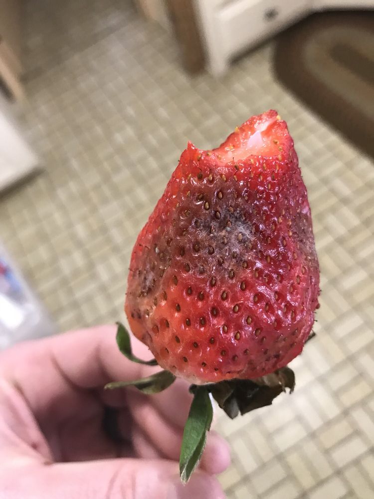 EDIBLE ARRANGEMENTS Updated September 2024 32 Reviews 691 Grafton