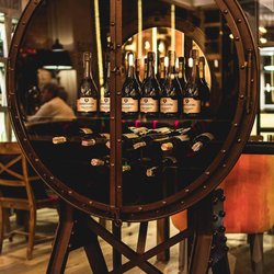 Canis Music & Wine