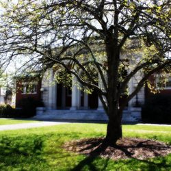 Lawrence Library