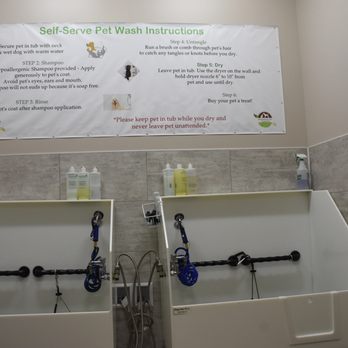 Wholesome Pet Essentials - Self Serve Bath - Pet Stores Near Me - Ankeny, Iowa Wholesome Pet Essentials - Self Serve Bath - Pet Stores Near Me - Ankeny, Iowa