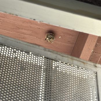 OnSite Pest Management - Pest Control Near Me