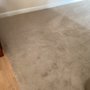 Photo of Carpet Pro