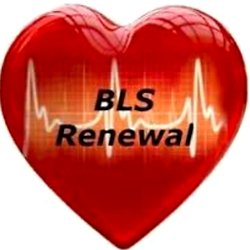 P3 Specialized Training - BLS PROVIDER & RENEWAL CLASSES