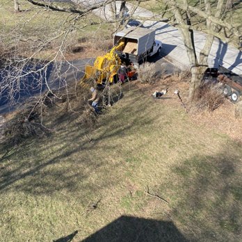 Chavez Tree Service - Tree removal - Tree Services Near Me - Lisle, Illinois Chavez Tree Service - Tree removal - Tree Services Near Me - Lisle, Illinois