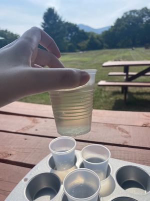 Blue Toad Hard Cider by null