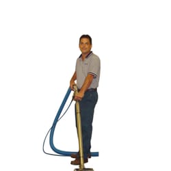 Steam Action Carpet Cleaning