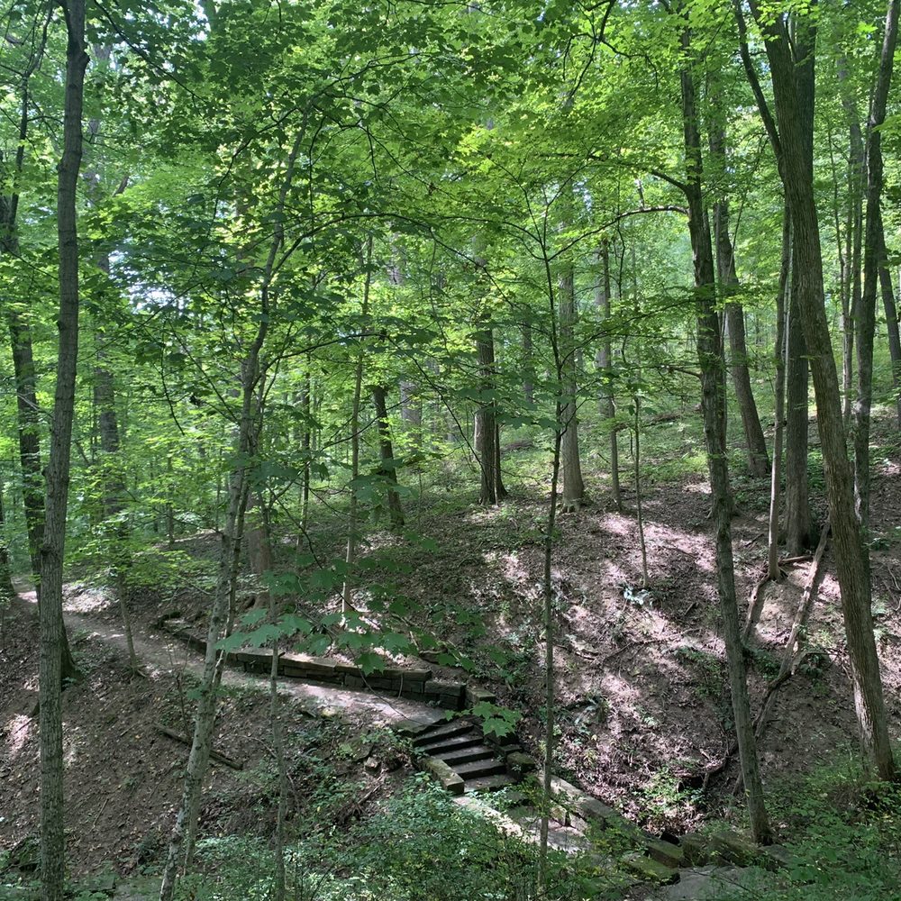 Brown County State Park - CCC Trail - Hiking Near Me - Nashville, Indiana