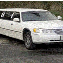 Flex Limo and Taxi Service