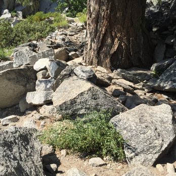 Panorama Trail - one set of piles of rocks on a segment of the trail--goes on for a mile - Hiking Near Me - Yosemite, California