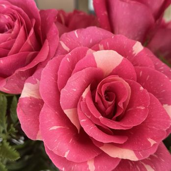 Fortinos - Roses - Grocery Near Me - Bolton, Ontario Fortinos - Roses - Grocery Near Me - Bolton, Ontario
