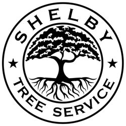 Shelby Tree Service