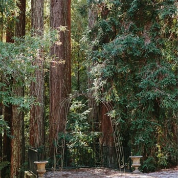 Warren Woods - Copyright Miki Vargas Photography - Venues & Event Spaces Near Me - Sebastopol, California