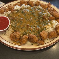 Broussard's Cajun Cuisine - Half and Half... with crawfish ettouffee and fried Gator Tails on outside