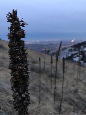 Windy Saddle Park by null