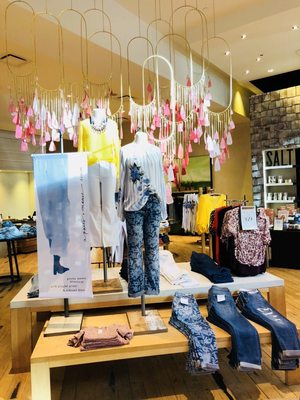 Anthropologie by null