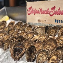 Oysters
