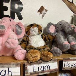 Ausby's Ark - The animals after they're stuffed
