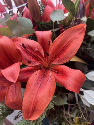 Carla's Fresh Market by null