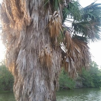 Dean Porter Park - Resaca - Parks Near Me - Brownsville, Texas Dean Porter Park - Resaca - Parks Near Me - Brownsville, Texas