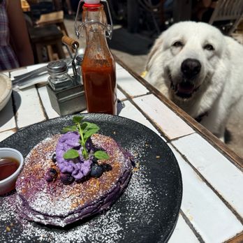 Blue Whale - Cafes Near Me - La Jolla, California