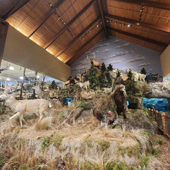 Bass Pro Outdoor World - Outdoor Gear Near Me - Rogers, Arkansas