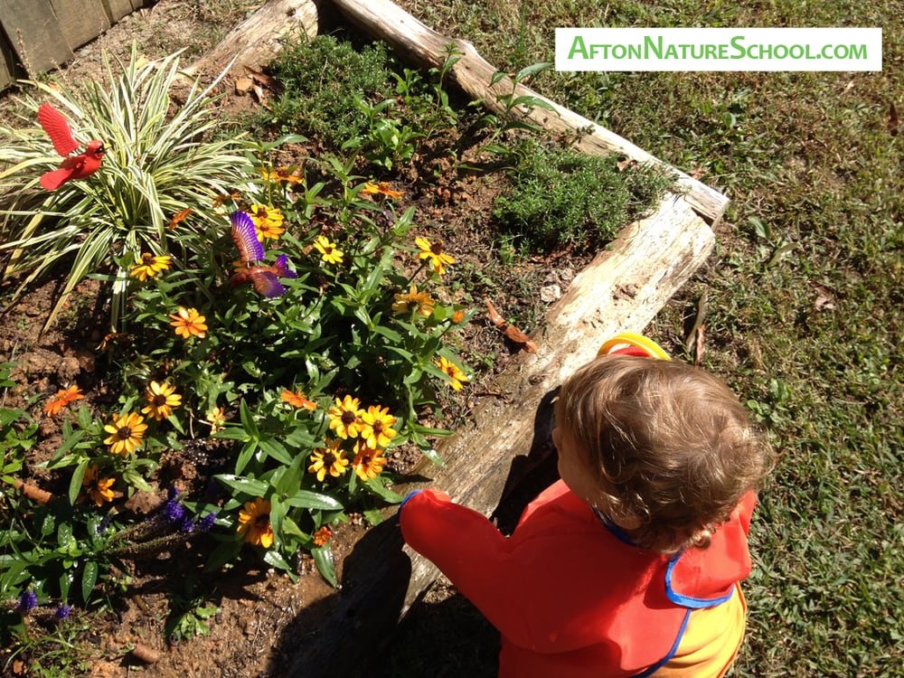 Afton Nature School - childcare center in Carrboro, NC
