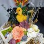 Photo of Faintly Macabre Crystals and Oddities