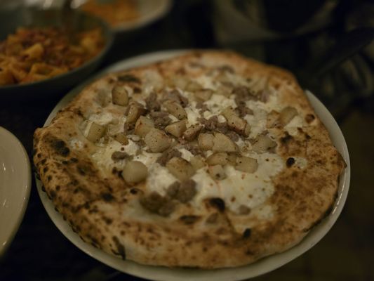 CIBO by null