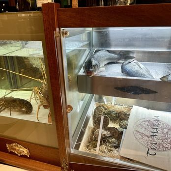 Gran Caffe Rossi Martini - Lobster tank and fresh fish - Cafes Near Me - Rome, RM